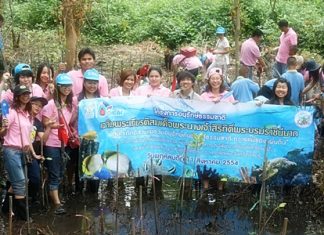 Sattahip residents plant 500 trees for HM the Queen’s birthday Royal Thai Navy personnel, students and Sattahip-area residents plant trees to honor HM Queen Sirikit on her 79th birthday.